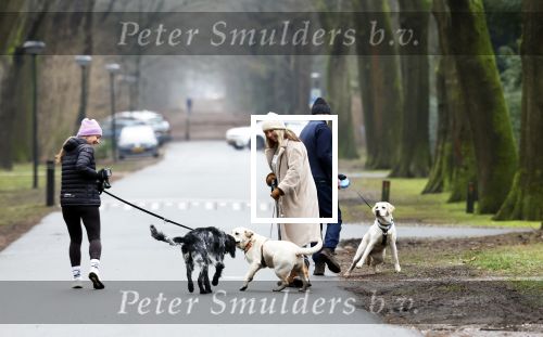 Huizen 13 januari 2024
Linda de Mol en Jeroen Rietbergen samen wandelend met hun 2 honden / labradors.