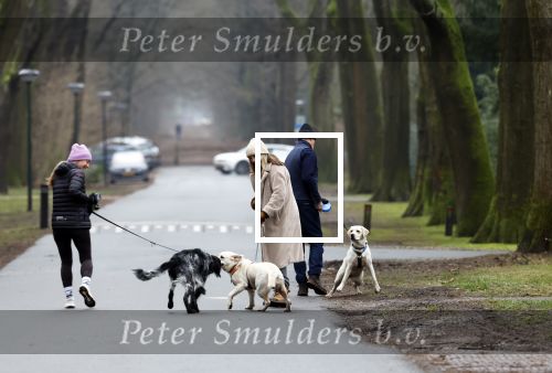Huizen 13 januari 2024
Linda de Mol en Jeroen Rietbergen samen wandelend met hun 2 honden / labradors.