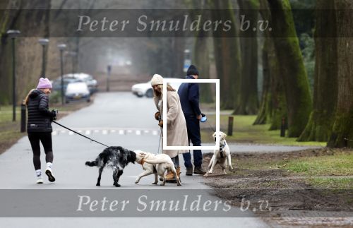 Huizen 13 januari 2024
Linda de Mol en Jeroen Rietbergen samen wandelend met hun 2 honden / labradors.