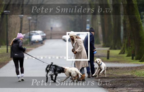 Huizen 13 januari 2024
Linda de Mol en Jeroen Rietbergen samen wandelend met hun 2 honden / labradors.