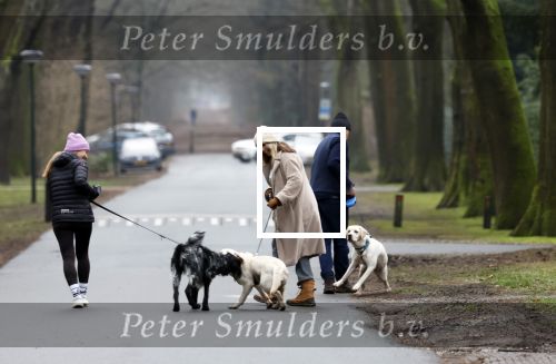 Huizen 13 januari 2024
Linda de Mol en Jeroen Rietbergen samen wandelend met hun 2 honden / labradors.