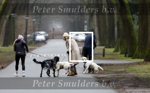 Huizen 13 januari 2024
Linda de Mol en Jeroen Rietbergen samen wandelend met hun 2 honden / labradors.