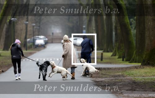 Huizen 13 januari 2024
Linda de Mol en Jeroen Rietbergen samen wandelend met hun 2 honden / labradors.