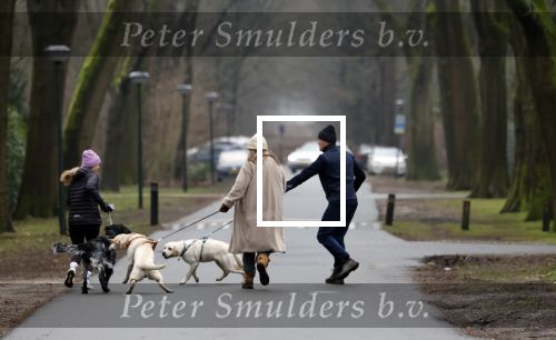 Huizen 13 januari 2024
Linda de Mol en Jeroen Rietbergen samen wandelend met hun 2 honden / labradors.