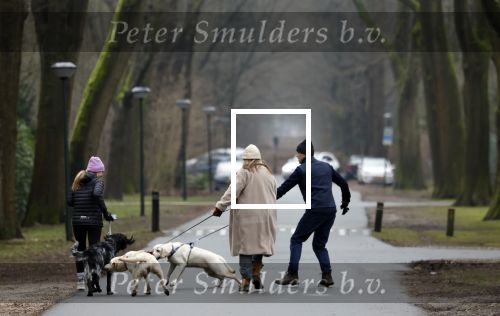 Huizen 13 januari 2024
Linda de Mol en Jeroen Rietbergen samen wandelend met hun 2 honden / labradors.
