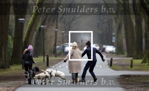 Huizen 13 januari 2024
Linda de Mol en Jeroen Rietbergen samen wandelend met hun 2 honden / labradors.