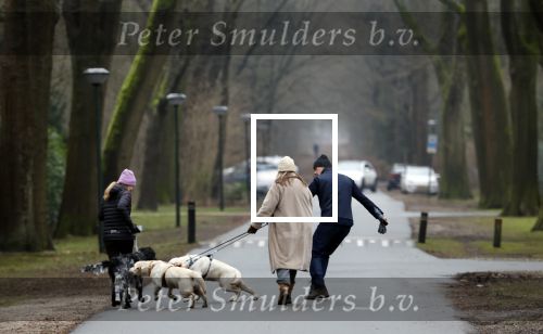 Huizen 13 januari 2024
Linda de Mol en Jeroen Rietbergen samen wandelend met hun 2 honden / labradors.