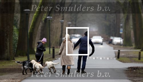 Huizen 13 januari 2024
Linda de Mol en Jeroen Rietbergen samen wandelend met hun 2 honden / labradors.