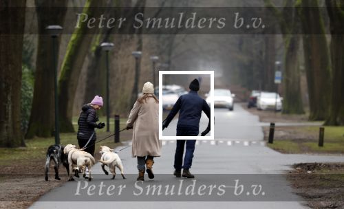 Huizen 13 januari 2024
Linda de Mol en Jeroen Rietbergen samen wandelend met hun 2 honden / labradors.