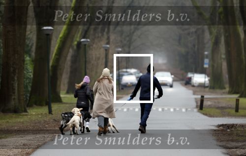 Huizen 13 januari 2024
Linda de Mol en Jeroen Rietbergen samen wandelend met hun 2 honden / labradors.