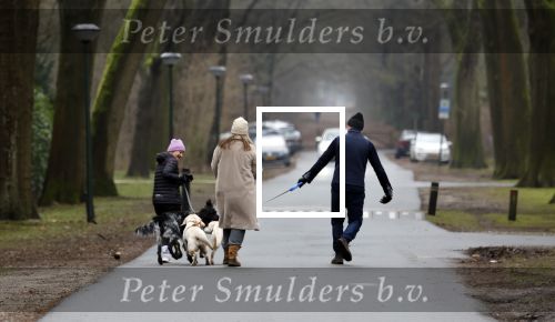 Huizen 13 januari 2024
Linda de Mol en Jeroen Rietbergen samen wandelend met hun 2 honden / labradors.