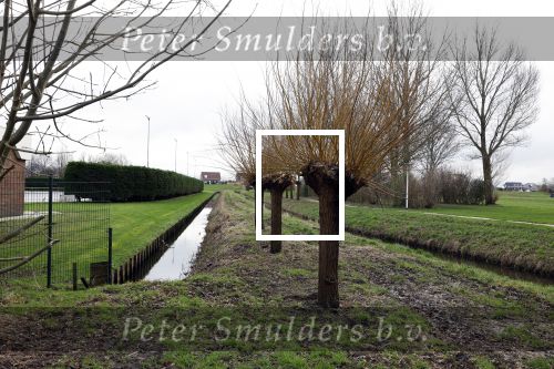 Lisse 6 januari 2023
Op deze locatie naast de Lissesche ijsbaan zou Maxime Meiland verkracht zijn . De speelrekken die daar stonden zijn onlangs weg gehaald . De gaten in de grond zitten er nog .