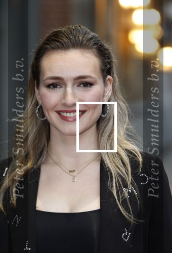 Amsterdam 4 januari 2024
Castpresentatie Jesus Christ Superstar in het DeLaMar theater met oa Paul de Leeuw Djeangu Macrooy Alex Klaasen Lucas hamming  Magtel de Laat . Albert Verlinde is de producent en Ivo v Hove de regisseur.