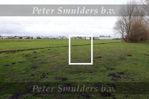 Lisse 6 januari 2023
Op deze locatie naast de Lissesche ijsbaan zou Maxime Meiland verkracht zijn . De speelrekken die daar stonden zijn onlangs weg gehaald . De gaten in de grond zitten er nog .