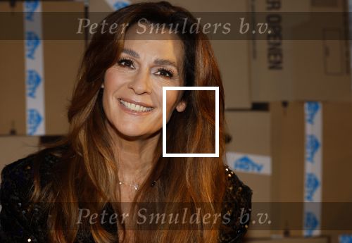 Amsterdam 15 januari 2024
Presentatie nieuwe zender HGTV Nederland . Quinty Trustfull
