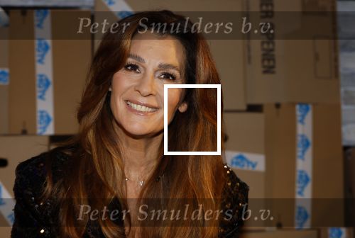 Amsterdam 15 januari 2024
Presentatie nieuwe zender HGTV Nederland . Quinty Trustfull