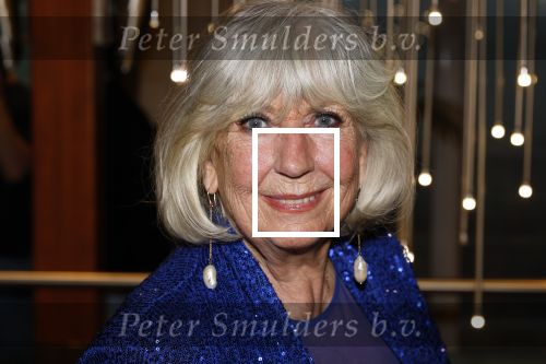 Nijmegen 17 januari 2024
75 jaar de zonnebloem met oa John de Bever Kees de Bever en Willeke Alberti.