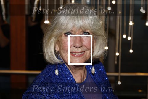 Nijmegen 17 januari 2024
75 jaar de zonnebloem met oa John de Bever Kees de Bever en Willeke Alberti.