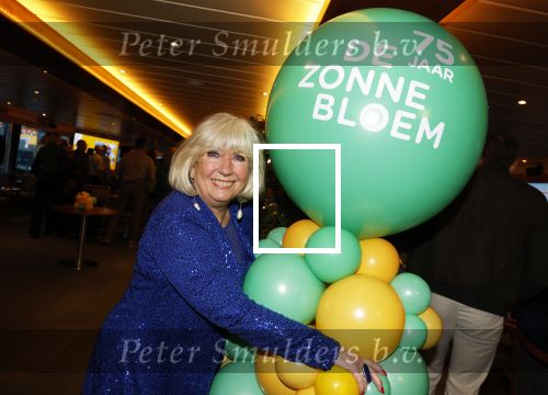 Nijmegen 17 januari 2024
75 jaar de zonnebloem met oa John de Bever Kees de Bever en Willeke Alberti.