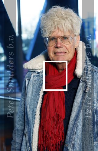Hilversum 9 januari 2025
Ad Visser