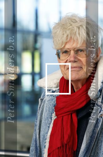Hilversum 9 januari 2025
Ad Visser
