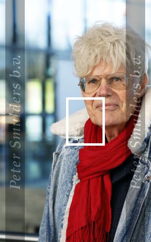 Hilversum 9 januari 2025
Ad Visser
