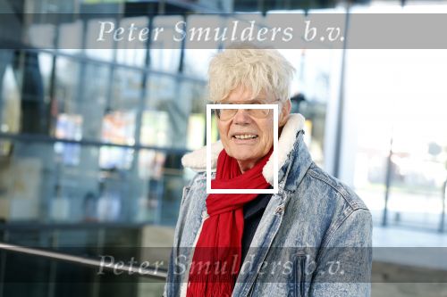 Hilversum 9 januari 2025
Ad Visser
