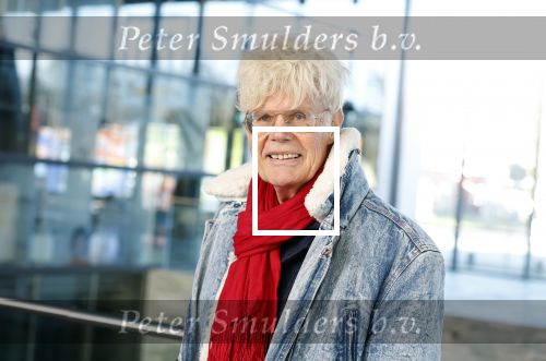 Hilversum 9 januari 2025
Ad Visser