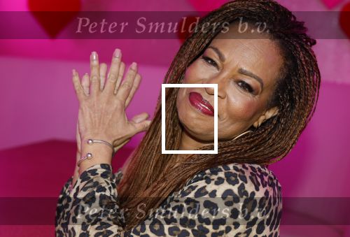 Amsterdam 6  januari 2025
Presentatie zangeressen die bij Patty Brard op gaan treden tijdens haar 70e verjaardag in het ziggo dome .Aanwezig in the all out oa Jetty Wheels Carolien de Windt Marga Bult Esther Oosterbeek  Rowan Moore Laura Vlasblom Anita Heilker .