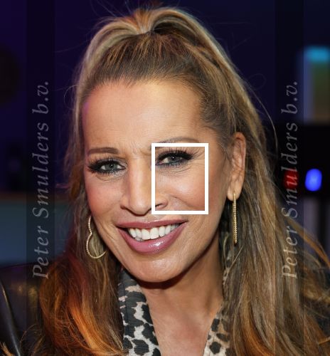 Amsterdam 6  januari 2025
Presentatie zangeressen die bij Patty Brard op gaan treden tijdens haar 70e verjaardag in het ziggo dome .Aanwezig in the all out oa Jetty Wheels Carolien de Windt Marga Bult Esther Oosterbeek  Rowan Moore Laura Vlasblom Anita Heilker .
