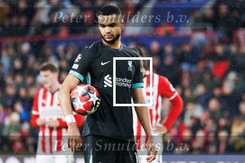 Eindhoven, 29 Januari 2025
8e en laatste wedstrijd  Champions League seizoen 2024-2025 PSV-FC Liverpool, eindstand 3-2
Gody Gakpo
Fotograaf Marco Ferrageau