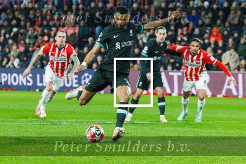 Eindhoven, 29 Januari 2025
8e en laatste wedstrijd  Champions League seizoen 2024-2025 PSV-FC Liverpool, eindstand 3-2
Gody Gakpo
Fotograaf Marco Ferrageau
