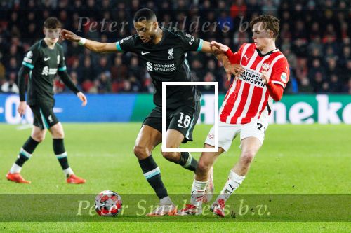 Eindhoven, 29 Januari 2025
8e en laatste wedstrijd  Champions League seizoen 2024-2025 PSV-FC Liverpool, eindstand 3-2
Gody Gakpo en Tygo Land
Fotograaf Marco Ferrageau
