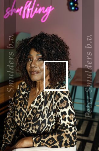 Amsterdam 6  januari 2025
Presentatie zangeressen die bij Patty Brard op gaan treden tijdens haar 70e verjaardag in het ziggo dome .Aanwezig in the all out oa Jetty Wheels Carolien de Windt Marga Bult Esther Oosterbeek  Rowan Moore Laura Vlasblom Anita Heilker .