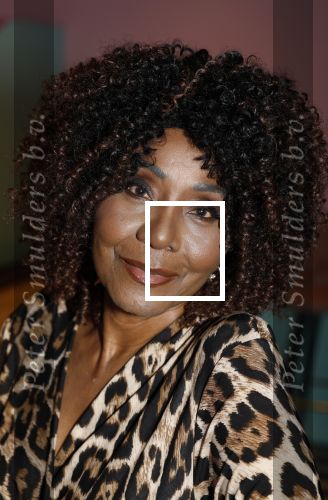 Amsterdam 6  januari 2025
Presentatie zangeressen die bij Patty Brard op gaan treden tijdens haar 70e verjaardag in het ziggo dome .Aanwezig in the all out oa Jetty Wheels Carolien de Windt Marga Bult Esther Oosterbeek  Rowan Moore Laura Vlasblom Anita Heilker .
