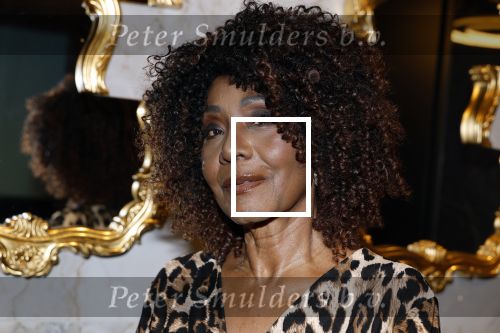 Amsterdam 6  januari 2025
Presentatie zangeressen die bij Patty Brard op gaan treden tijdens haar 70e verjaardag in het ziggo dome .Aanwezig in the all out oa Jetty Wheels Carolien de Windt Marga Bult Esther Oosterbeek  Rowan Moore Laura Vlasblom Anita Heilker .