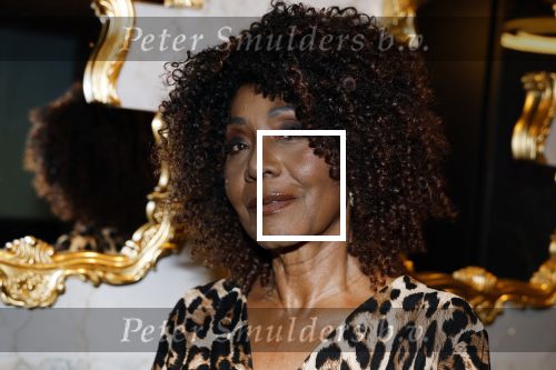 Amsterdam 6  januari 2025
Presentatie zangeressen die bij Patty Brard op gaan treden tijdens haar 70e verjaardag in het ziggo dome .Aanwezig in the all out oa Jetty Wheels Carolien de Windt Marga Bult Esther Oosterbeek  Rowan Moore Laura Vlasblom Anita Heilker .