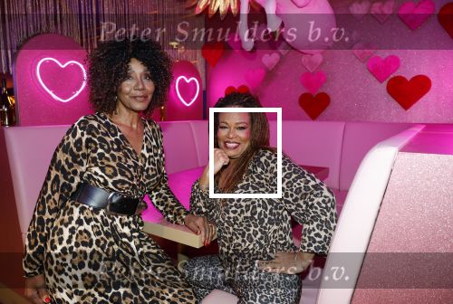 Amsterdam 6  januari 2025
Presentatie zangeressen die bij Patty Brard op gaan treden tijdens haar 70e verjaardag in het ziggo dome .Aanwezig in the all out oa Jetty Wheels Carolien de Windt Marga Bult Esther Oosterbeek  Rowan Moore Laura Vlasblom Anita Heilker .