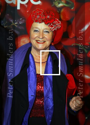Amsterdam 2 december 2013
Premiere Soof in het nieuwe de la mar theater.
 Judith Bosch met dochters
