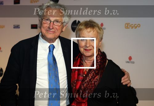 Amsterdam 3 maart 2014
Uitreiking van de TV prijzen. Judith Bos met man