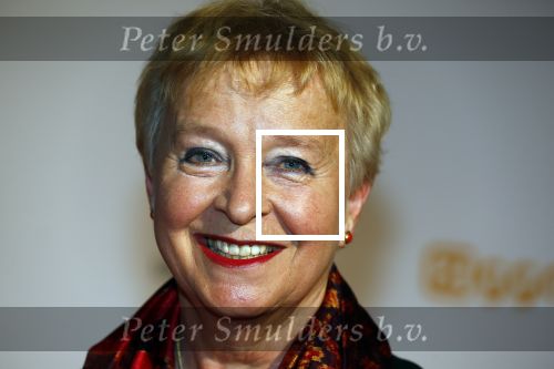 Amsterdam 3 maart 2014
Uitreiking van de TV prijzen. Judith Bos met man