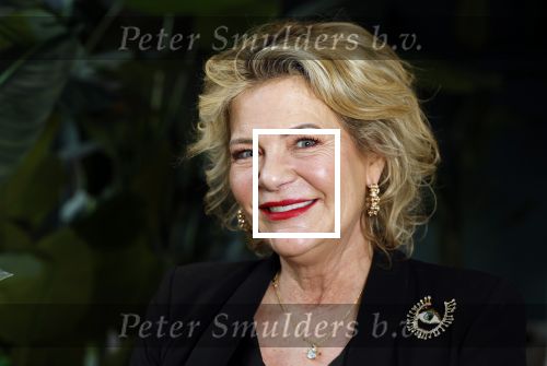 Amsterdam 8 januari 2025
Boekpresentatie Dyantha Brooks in het College Hotel . Justine Marcella