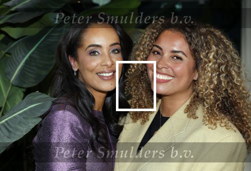 Amsterdam 8 januari 2025
Boekpresentatie Dyantha Brooks in het College Hotel . Lauretta Gerards en Dyantha Brooks