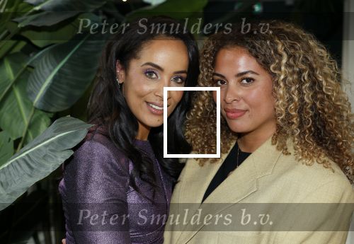 Amsterdam 8 januari 2025
Boekpresentatie Dyantha Brooks in het College Hotel . Lauretta Gerards en Dyantha Brooks