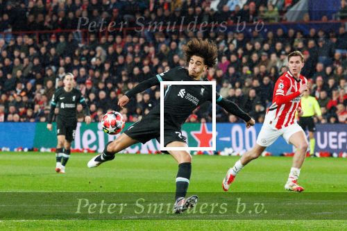 Eindhoven, 29 Januari 2025
8e en laatste wedstrijd  Champions League seizoen 2024-2025 PSV-FC Liverpool, eindstand 3-2
Luis Diaz
Fotograaf Marco Ferrageau