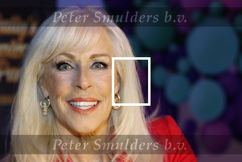 Amsterdam 6  januari 2025
Presentatie zangeressen die bij Patty Brard op gaan treden tijdens haar 70e verjaardag in het ziggo dome .Aanwezig in the all out oa Jetty Wheels Carolien de Windt Marga Bult Esther Oosterbeek  Rowan Moore Laura Vlasblom Anita Heilker .