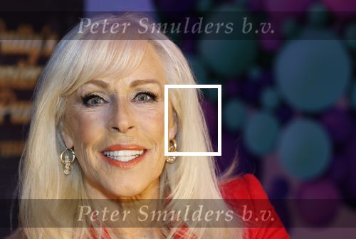 Amsterdam 6  januari 2025
Presentatie zangeressen die bij Patty Brard op gaan treden tijdens haar 70e verjaardag in het ziggo dome .Aanwezig in the all out oa Jetty Wheels Carolien de Windt Marga Bult Esther Oosterbeek  Rowan Moore Laura Vlasblom Anita Heilker .