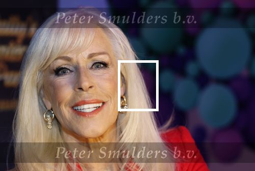 Amsterdam 6  januari 2025
Presentatie zangeressen die bij Patty Brard op gaan treden tijdens haar 70e verjaardag in het ziggo dome .Aanwezig in the all out oa Jetty Wheels Carolien de Windt Marga Bult Esther Oosterbeek  Rowan Moore Laura Vlasblom Anita Heilker .