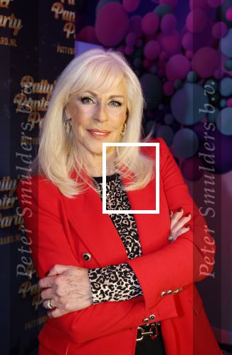 Amsterdam 6  januari 2025
Presentatie zangeressen die bij Patty Brard op gaan treden tijdens haar 70e verjaardag in het ziggo dome .Aanwezig in the all out oa Jetty Wheels Carolien de Windt Marga Bult Esther Oosterbeek  Rowan Moore Laura Vlasblom Anita Heilker .
