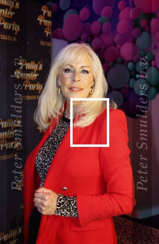 Amsterdam 6  januari 2025
Presentatie zangeressen die bij Patty Brard op gaan treden tijdens haar 70e verjaardag in het ziggo dome .Aanwezig in the all out oa Jetty Wheels Carolien de Windt Marga Bult Esther Oosterbeek  Rowan Moore Laura Vlasblom Anita Heilker .